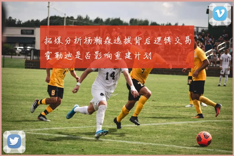 拓媒分析杨瀚森选拔背后逻辑交易霍勒迪是否影响重建计划